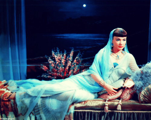 3cd88644ae78d12b9c7204264eec6f35