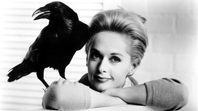 the_birds_-_h_-_1963