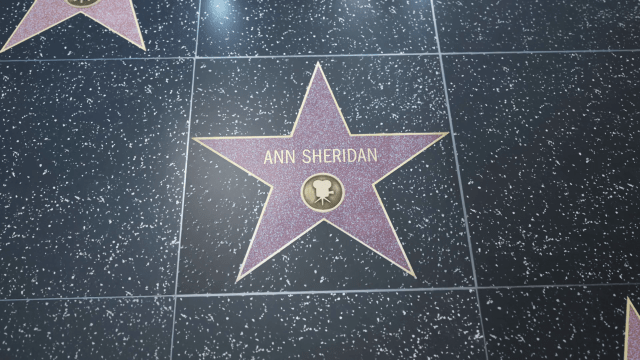 videoblocks-hollywood-walk-of-fame-star-2-shots-ann-sheridan-editorial-clip_hixq7uu-m_thumbnail-1080_01